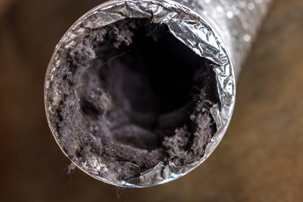 Best Air Duct Cleaning Near Me  in Point Roberts, WA